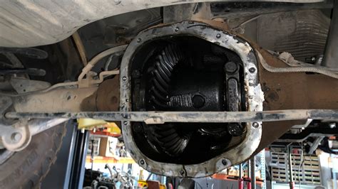 Rear Differential Leak